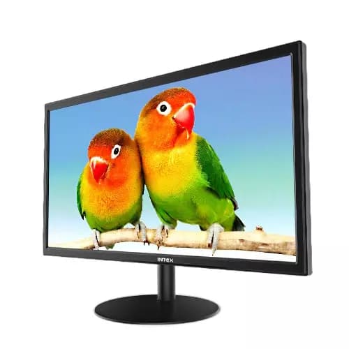 Intex 51 cm (20.07 inch) HD LED Monitor Black