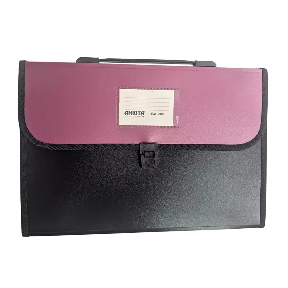 GENERIC Expanding Folder File for A4 Paper with 13 Pockets