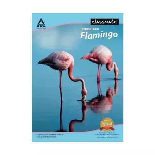 Classmate 297 X 210 mm Single Line 240 Pages Longbook