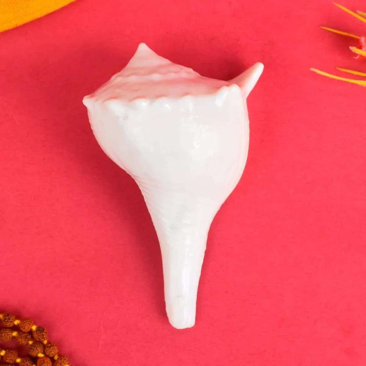 7.5cm Regular Dakshinavarti Shankh (Conch Shell) Assorted