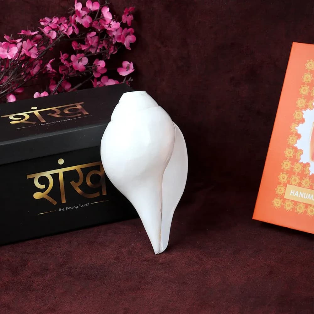 Blowing Shankh 13.5 Cm