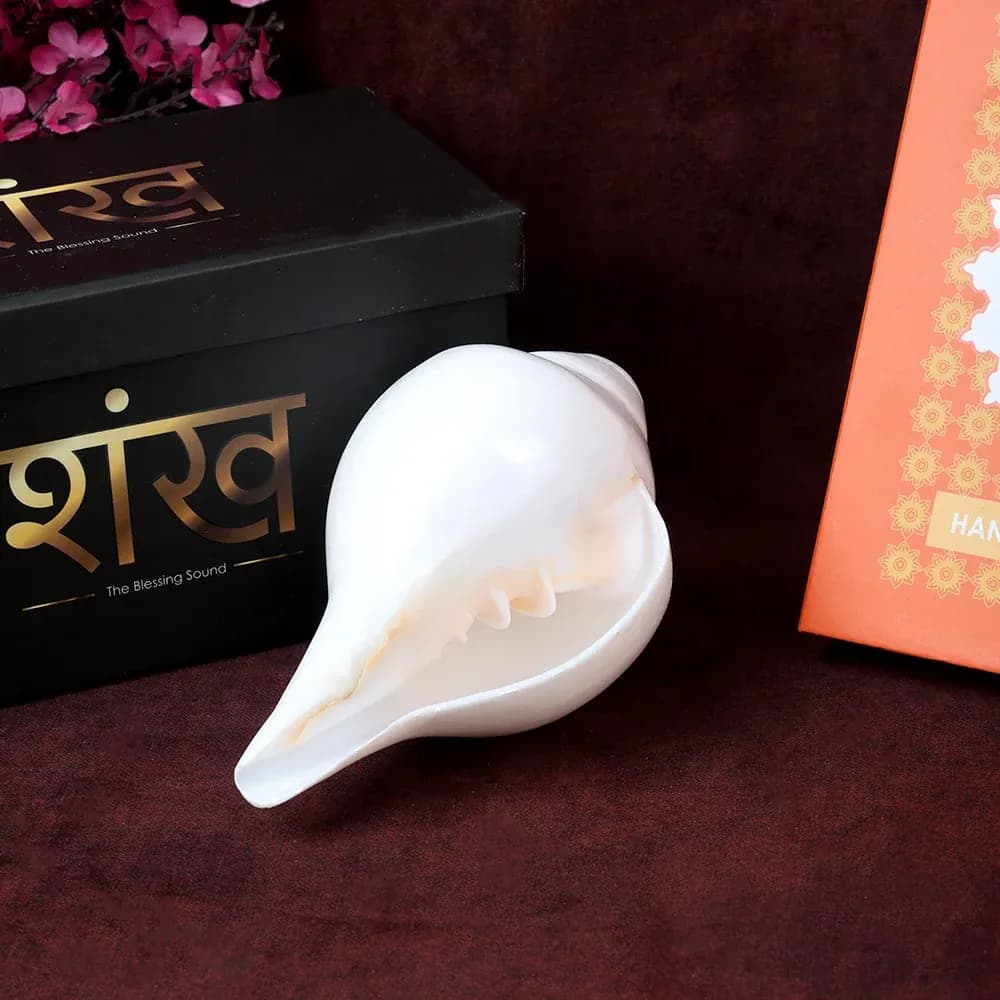 Blowing Shankh 13 cm