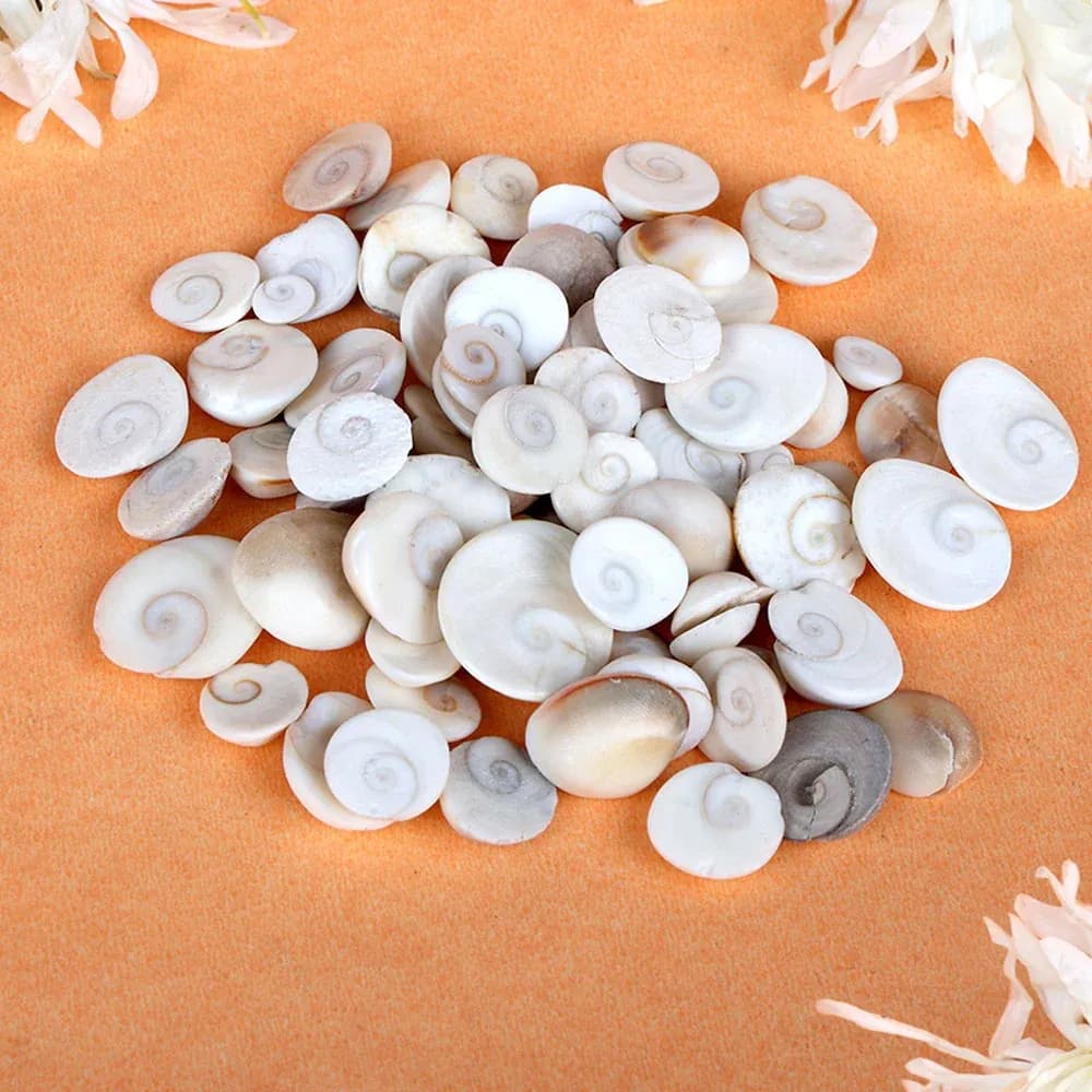 Gomti Chakra 101 Pcs