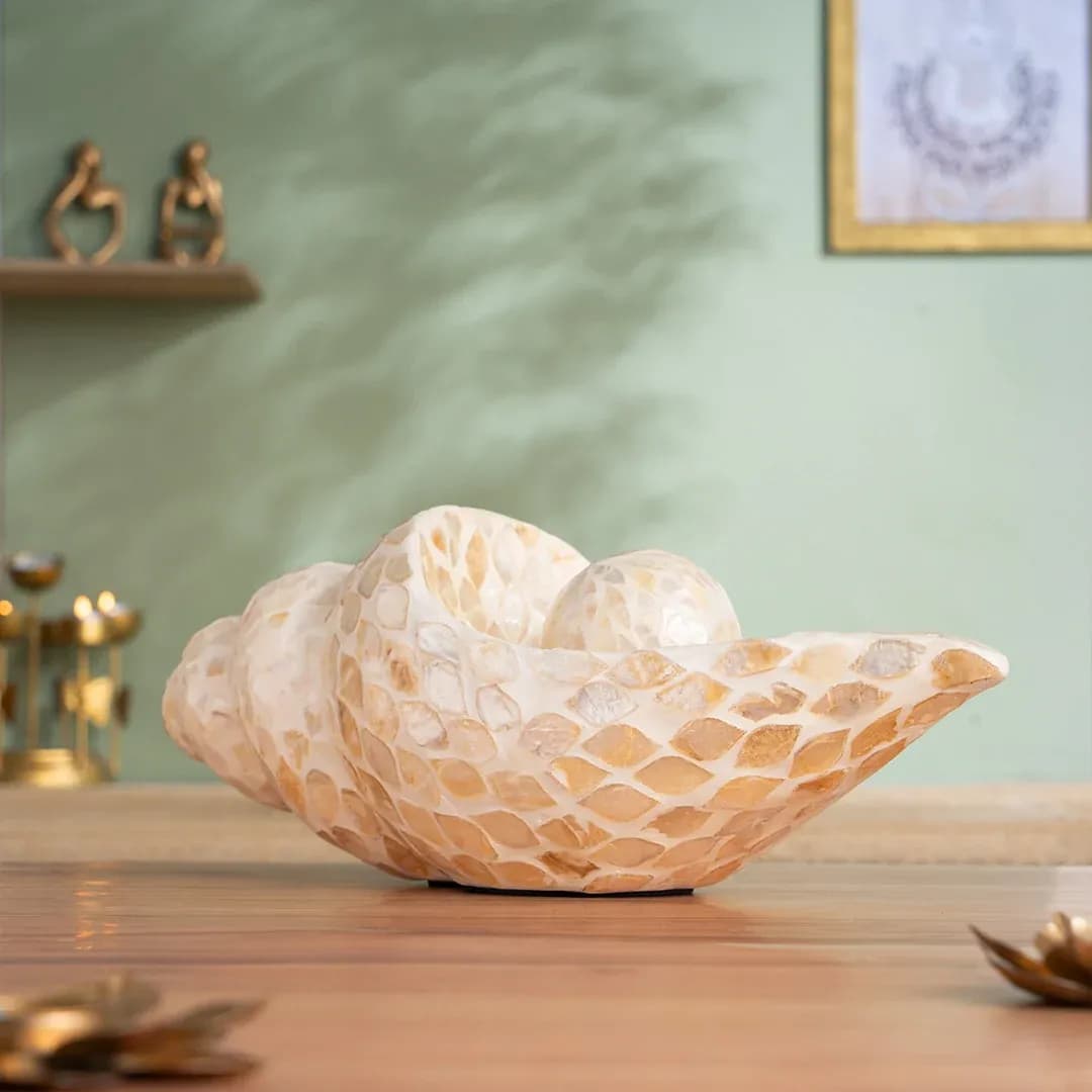 Decorative Conch Shell