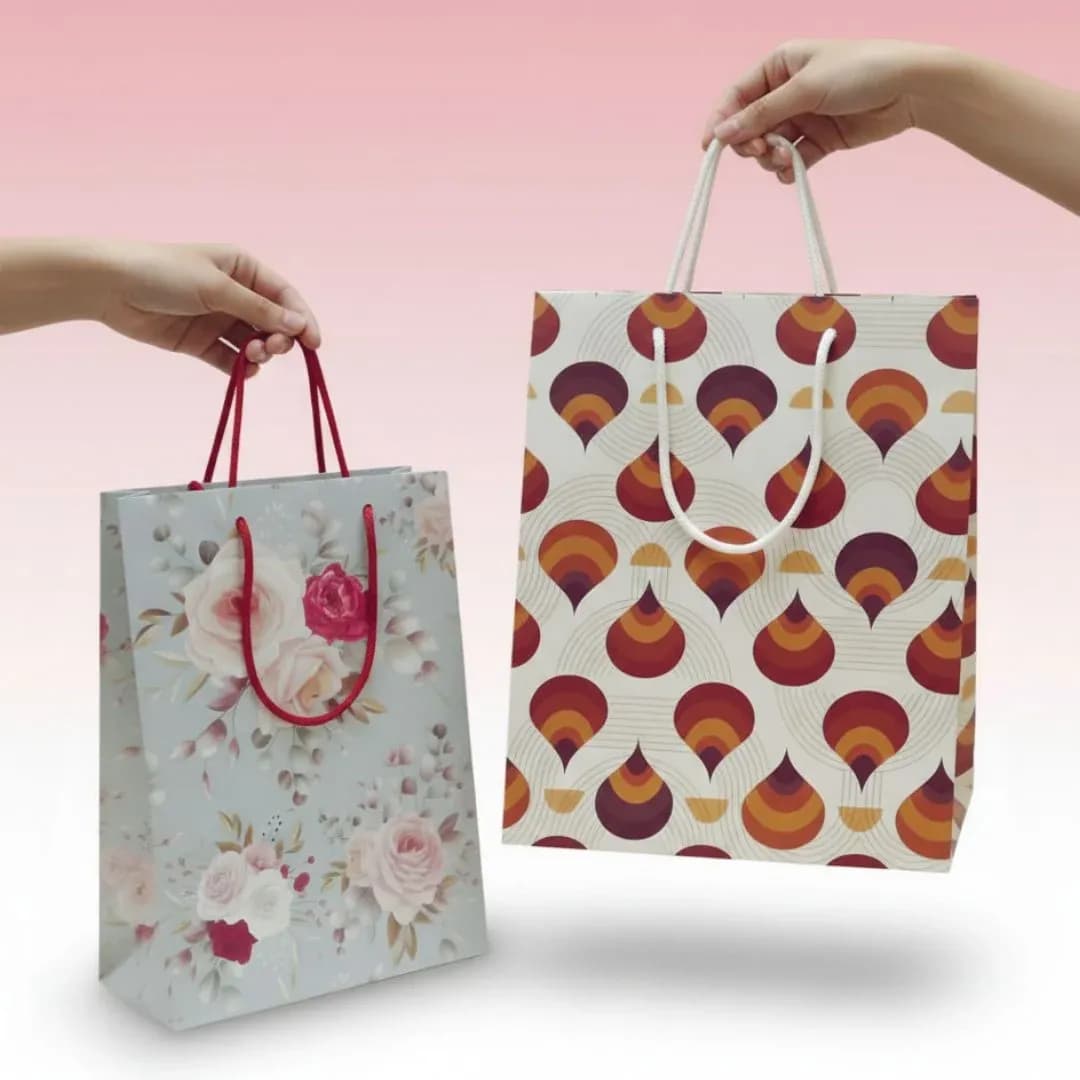 Paper Gift Bag, Printed Design, Multicolour (25 x 20 cm)
