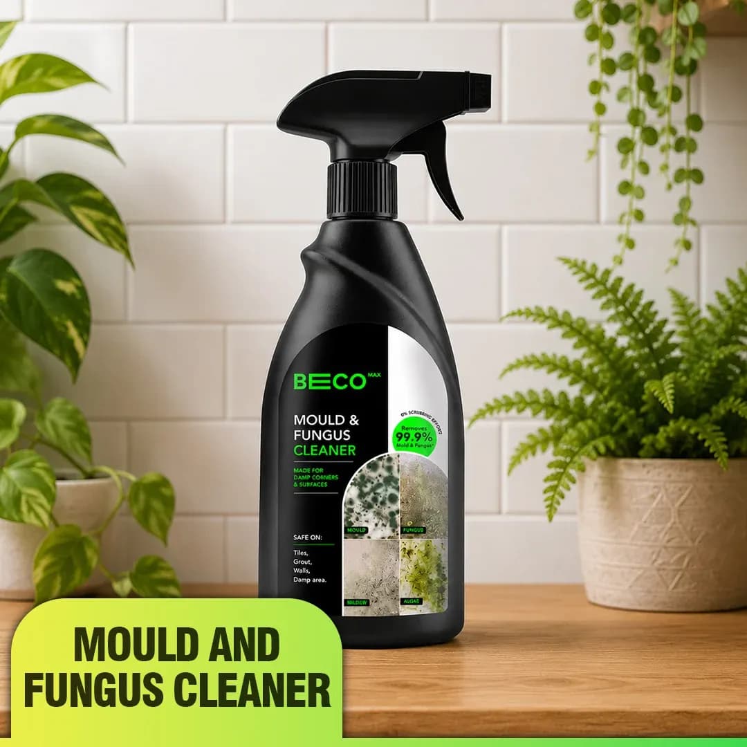 Beco Mould & Fungus Cleaner