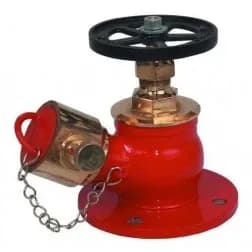 Minimax Single Outlet Fire Hydrant Valve, Gun Metal, 63 mm